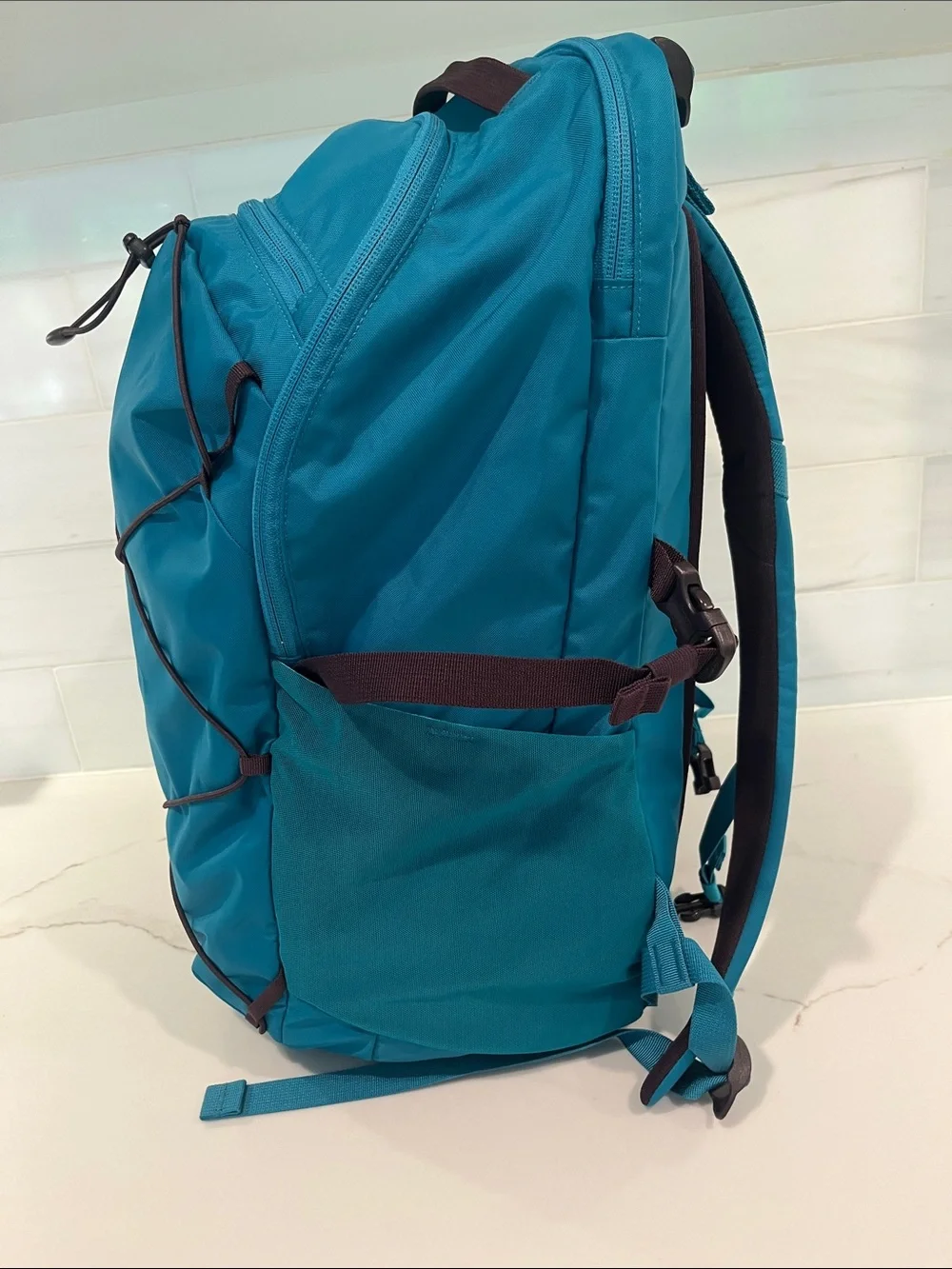 Patagonia NEW Refugio Daypack 30L Backpack